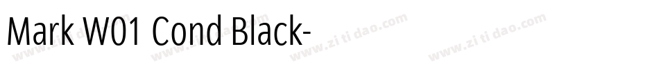 Mark W01 Cond Black字体转换